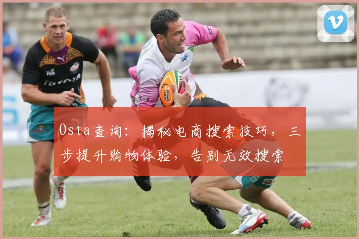 Osta查询：揭秘电商搜索技巧，三步提升购物体验，告别无效搜索