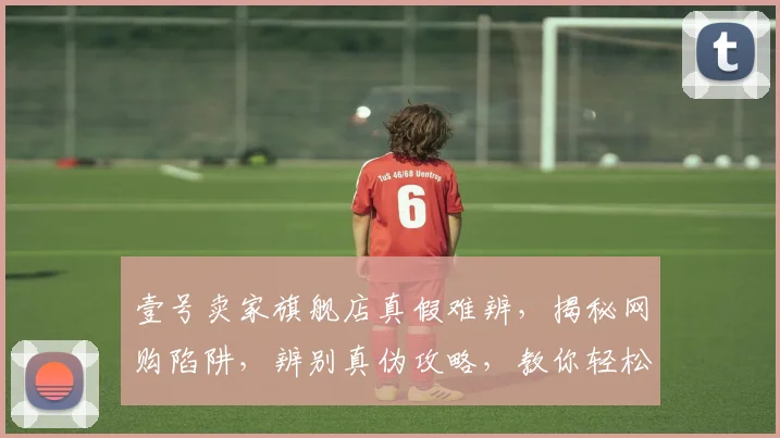 壹号卖家旗舰店真假难辨，揭秘网购陷阱，辨别真伪攻略，教你轻松避坑，购物无忧